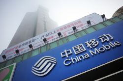 (2分钟教程)恩施土家族苗族自治州人民政府_哔哩哔哩-3